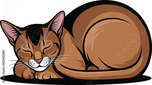Cat sleeping curled up Vector