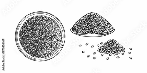 Black sesame seeds illustration a plate and scattered seeds depicted