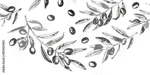 A grayscale image featuring an olive branch with ripe olives against black