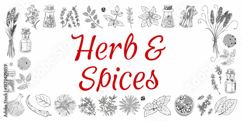 An assortment of vintage herb and spice illustrations arranged in a decorative frame