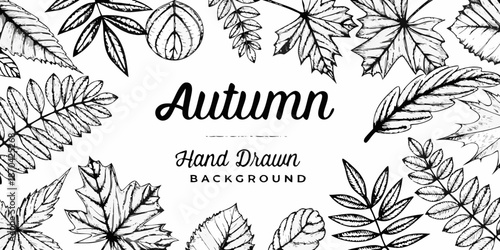 Hand drawn autumn leaves and delicate calligraphy background design