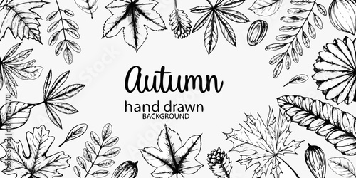Elegant autumn leaves and floral sketch with hand lettered typography