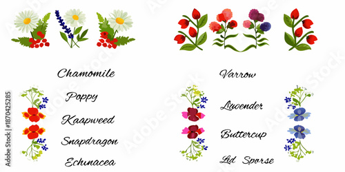 A botanical illustration displaying various wildflowers and their labeled names