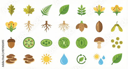 Botany and Plant Science Icon Set. Leaves, Roots, Flowers, and Photosynthesis Symbols.