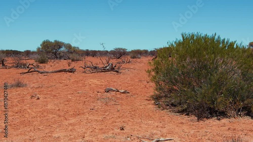 A dry landscape shows patches of grass and scattered bushes under a clear blue sky during the daytime in Australian outback