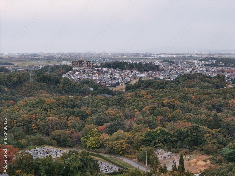 Fototapeta premium A view of a city with a forest in the background. The city is full of buildings and the forest is full of trees