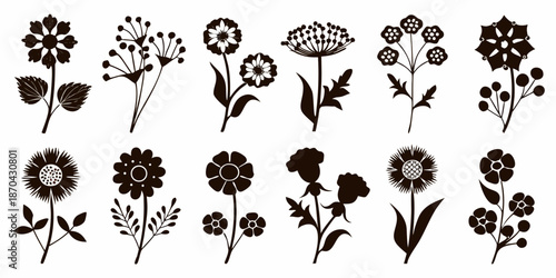 Collection of elegant black and white floral silhouettes displaying diverse botanical shapes