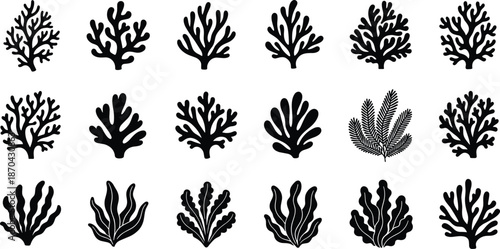 Coral and seaweed silhouette set, marine plant vector collection, ocean nature, underwater flora, aquatic illustration design