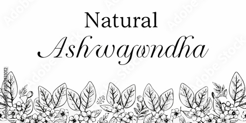 Natural ashwagandha illustration with botanical leaves and delicate script typography
