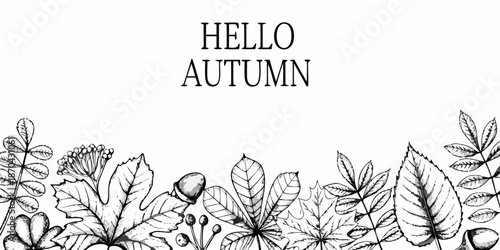 Hello autumn a vintage floral sketch with leaves and botanical elements