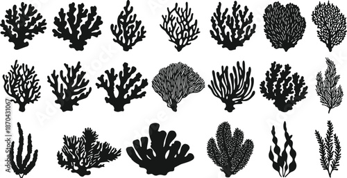 Coral reef silhouettes vector set, black sea coral shapes, underwater marine life illustration, ocean nature clipart, flat design elements art