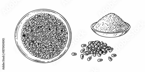 Illustration of various types of seeds and grains in sketch style