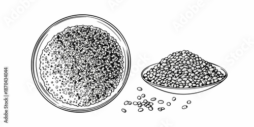Vintage illustration of lentils in a bowl and scattered pile