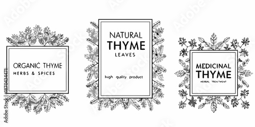 Three botanical frames showcase natural and medicinal thyme leaves with text