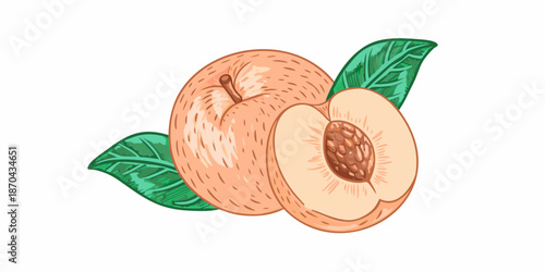 A colorful illustration depicts a whole peach and a sliced peach with leaves