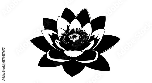 Elegant black and white lotus flower illustration for botanical and zen designs