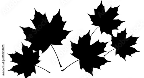 Elegant silhouette of maple leaves against a stark white background for autumnal designs