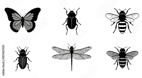 Diverse insects collection featuring a butterfly beetle dragonfly and bees black and white line