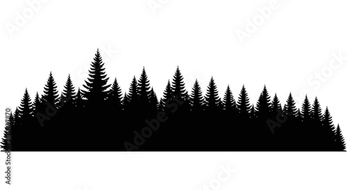 Silhouette of a dense coniferous forest against a white background ideal for designs