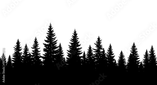 A Silhouette of Evergreen Trees Against a White Background creates a Forest