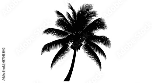 Silhouette of a majestic palm tree against a clean white background creates serenity