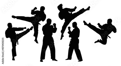 Dynamic Martial Arts Silhouettes: A Powerful Display of Karate Techniques and Skills