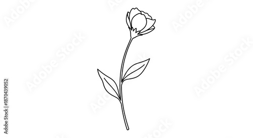 Elegant floral line art design showcasing a delicate single stem flower illustration