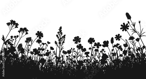 Elegant floral meadow silhouette on white background, a minimalist nature illustration with