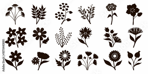 Collection of delicate floral silhouettes a botanical illustration arrangement