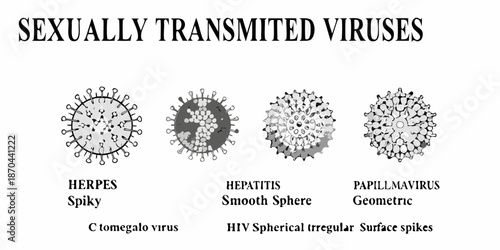 Illustrative depiction of various sexually transmitted viruses and their structures