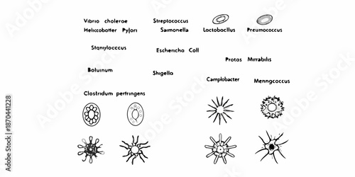 Illustrative depiction of various bacterial and cellular structures in microbiology