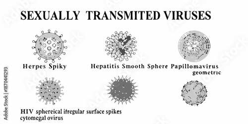 Illustrations of sexually transmitted viruses herpes hepatitis hiv and papillomavirus