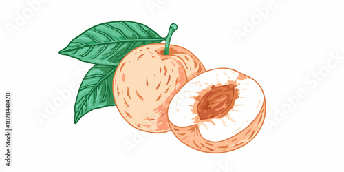 A vibrant illustration of a peach with a slice and green leaf