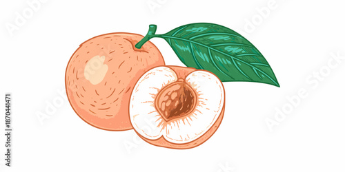 A vibrant illustration of a whole and halved apricot with a green leaf