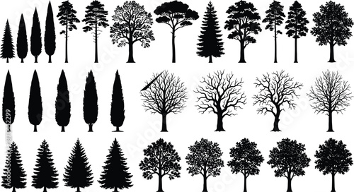 Tree silhouettes, botanical shapes, foliage density, branching patterns, coniferous, deciduous, evergreen, nature design, forest elements, black outline, minimal style