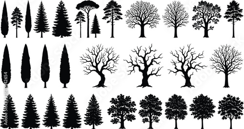 Tree silhouettes, botanical forms, coniferous, deciduous, leafless trees, foliage density, branching patterns, nature design, forest elements, black outline, minimal style