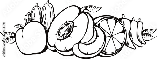 vegetable and fruit illustration  line art