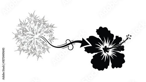 Transformation concept: dandelion seeds transforming into a tropical hibiscus flower with an arrow.