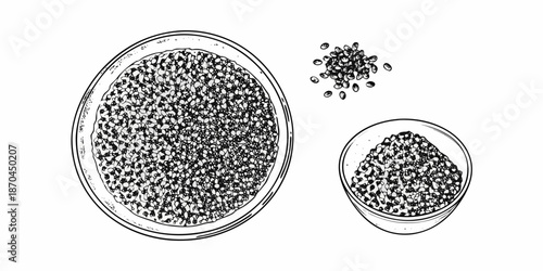 A vintage illustration of lentils and spices in bowls hand drawn style