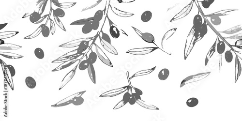 Elegant olive branches and fruit depicted in a grayscale botanical illustration