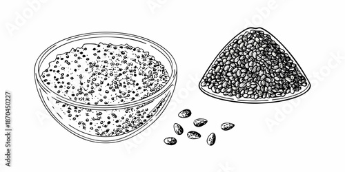 Illustration of black seeds a bowl and a pile sketch style
