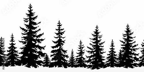 Silhouetted evergreen trees against a white background create a stark forest scene