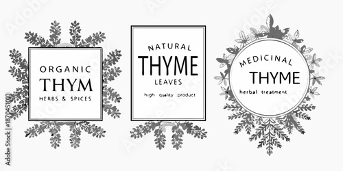 Decorative illustrations of thyme leaves and labels with herbal text