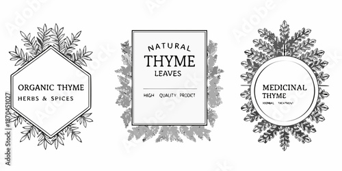 Vintage thyme label designs with botanical illustrations and herbal text elements