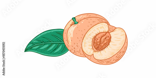 A vibrant illustration of a whole apricot and a halved apricot with a leaf