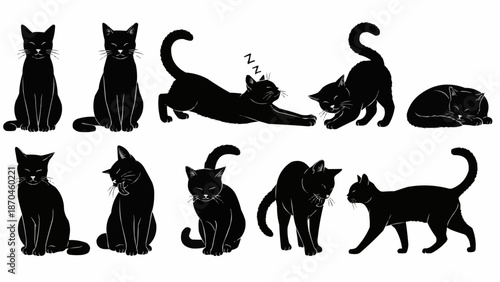 Collection of Black Cat Poses and Silhouettes.