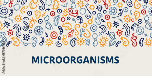 Colorful pattern of various microorganisms and bacterial shapes on a white background