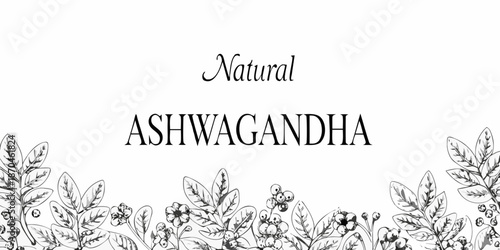 Ashwagandha botanical illustration with delicate floral elements and elegant typography