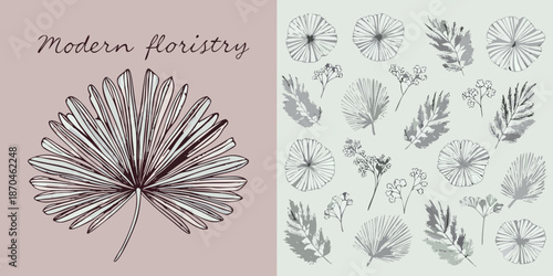 Botanical illustration with delicate floral sketches and a modern aesthetic design