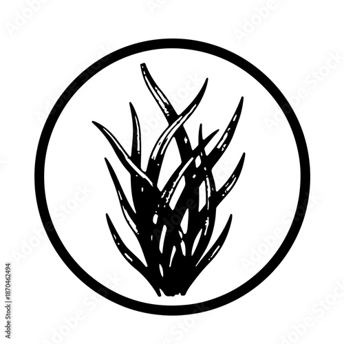 black and white icon featuring a cluster of seagrass elegantly framed within a geometric circle or hexagon. The blades partially break the frame boundary to create a sense of depth and movement